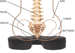 U-Shaped Cushion Support for Pain Relief & Comfort
